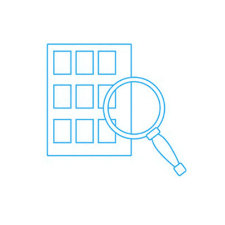 IT audists and advice